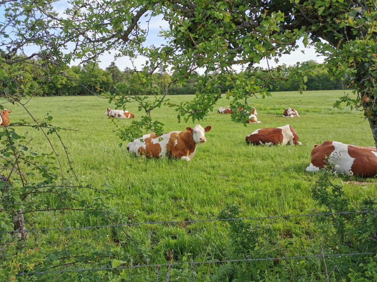 Gite Du Colombier Le Fied Exterior photo