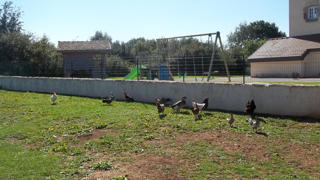 Gite Du Colombier Le Fied Exterior photo